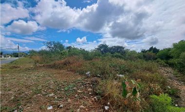 VENDO FINCA DE 2.6 HECTAREAS VIA PRINCIPAL