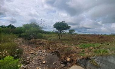 VENDO FINCA DE 2.6 HECTAREAS VIA PRINCIPAL