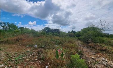 VENDO FINCA DE 2.6 HECTAREAS VIA PRINCIPAL