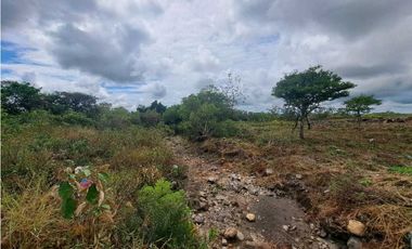 VENDO FINCA DE 2.6 HECTAREAS VIA PRINCIPAL