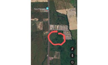 VENDO FINCA DE 2.6 HECTAREAS VIA PRINCIPAL