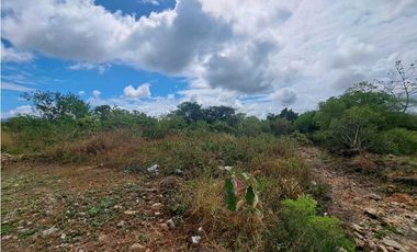 VENDO FINCA DE 2.6 HECTAREAS VIA PRINCIPAL