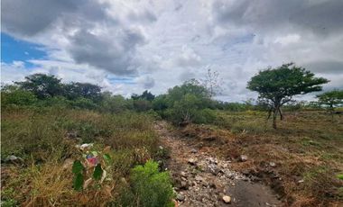 VENDO FINCA DE 2.6 HECTAREAS VIA PRINCIPAL