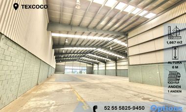 Texcoco, area to rent industrial property