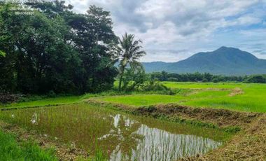 Scenic Plots Of Land With Mountain Views Ready For Development