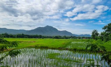 Scenic Plots Of Land With Mountain Views Ready For Development