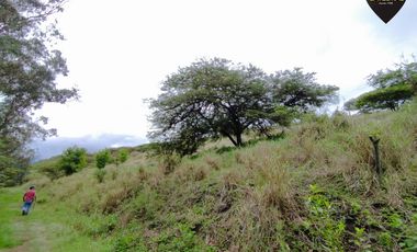 Terreno de venta en La asunción – código:20812