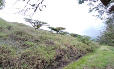 Terreno de venta en La asunción – código:20812