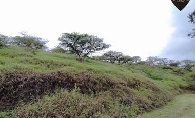 Terreno de venta en La asunción – código:20812