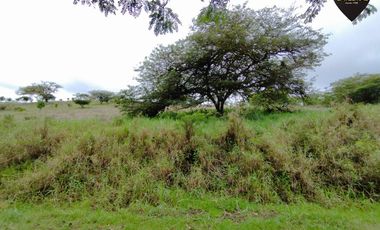 Terreno de venta en La asunción – código:20812