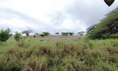 Terreno de venta en La asunción – código:20812