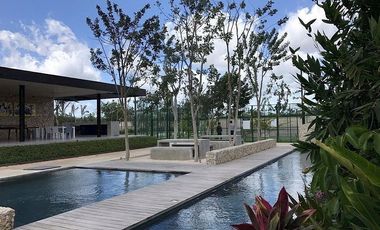 Terreno en venta en privada Arborea, Conkal, Yucatán.