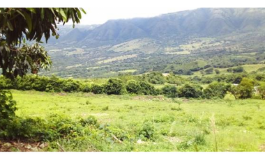 Lote de terreno de 10 hectáreas en Tocaima Cundinamarca