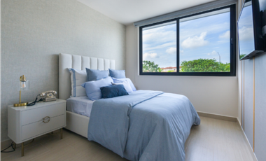 Proyecto-IMATERRA-Panama Pacifico