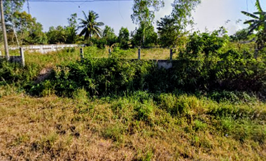 Land for sale in Phimun, Kalasin