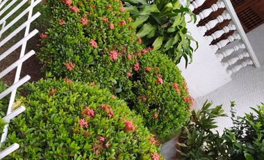 CASA en VENTA en Cúcuta Quinta Oriental