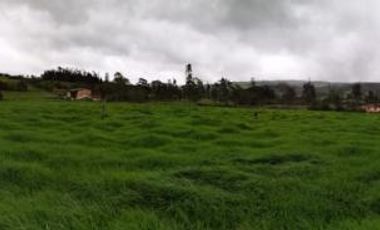 FINCA en VENTA en Mosquera Vereda Charquito