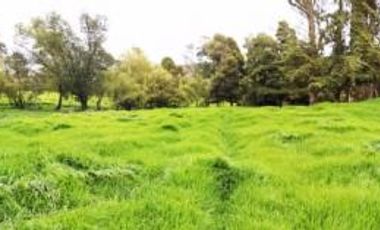 FINCA en VENTA en Mosquera Vereda Charquito