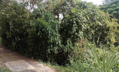 LOTE EN VENTA EN MARAYA/PEREIRA