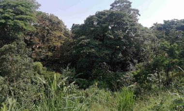 LOTE EN VENTA EN MARAYA/PEREIRA