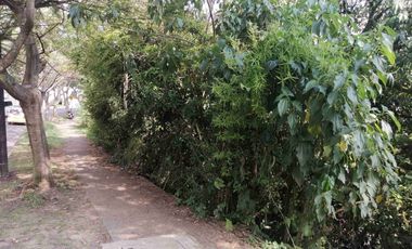 LOTE EN VENTA EN MARAYA/PEREIRA