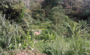 LOTE EN VENTA EN MARAYA/PEREIRA