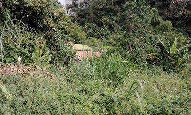 LOTE EN VENTA EN MARAYA/PEREIRA