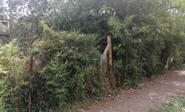 LOTE EN VENTA EN MARAYA/PEREIRA