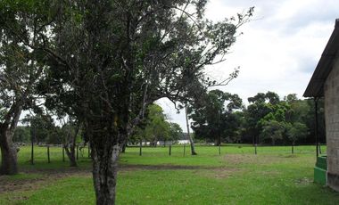 FINCA en VENTA en Cumaribo Guanape