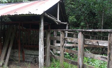 FINCA en VENTA en Cumaribo Guanape