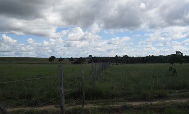 FINCA en VENTA en Cumaribo Guanape