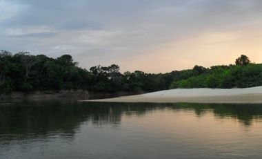 FINCA en VENTA en Cumaribo Guanape
