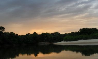 FINCA en VENTA en Cumaribo Guanape