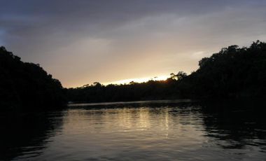 FINCA en VENTA en Cumaribo Guanape
