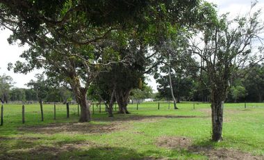 FINCA en VENTA en Cumaribo Guanape