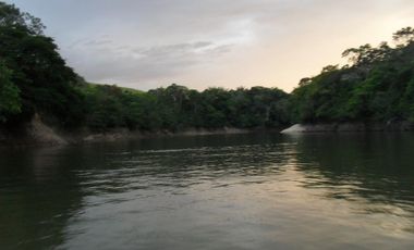 FINCA en VENTA en Cumaribo Guanape