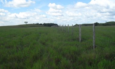 FINCA en VENTA en Cumaribo Guanape