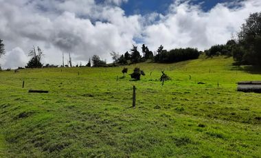 FINCA en VENTA en Chocontá Silos