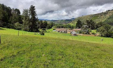 FINCA en VENTA en Chocontá Silos