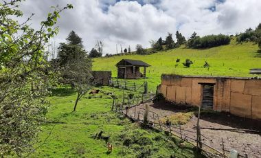 FINCA en VENTA en Chocontá Silos