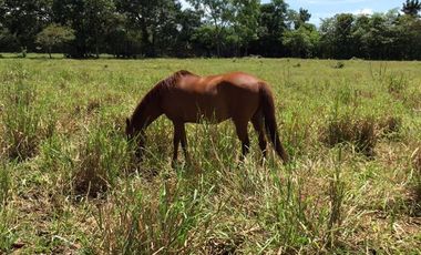 FINCA en VENTA en Restrepo Parcelas