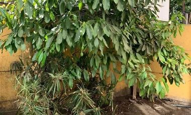 Departamento en Venta en 3D1B Avenida Carrascal -QUINTA NORMAL