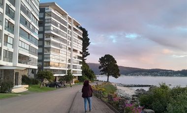 Sitio en Venta en Pingueral