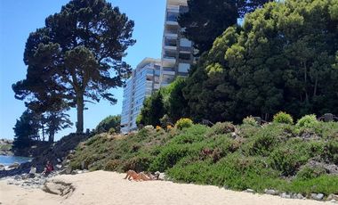 Sitio en Venta en Pingueral