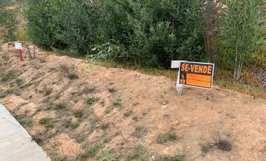 Sitio en Venta en Pingueral