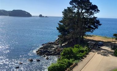 Sitio en Venta en Pingueral