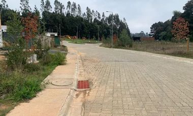 Sitio en Venta en Pingueral