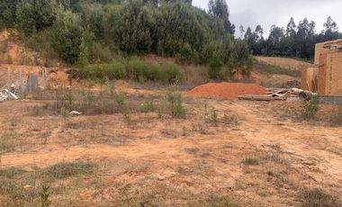 Sitio en Venta en Pingueral
