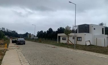 Sitio en Venta en Pingueral