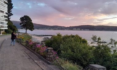 Sitio en Venta en Pingueral